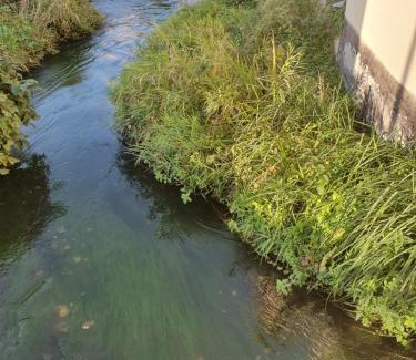 Ensisheim Apartment | Les berges du moulin