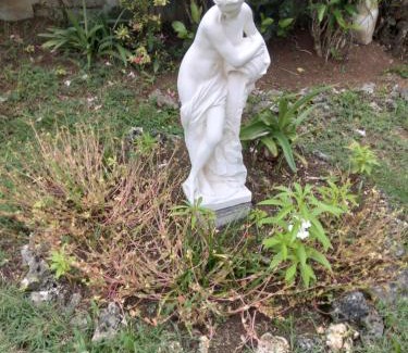 Le Gosier Apartment | LES BOUGAINVILLIERS