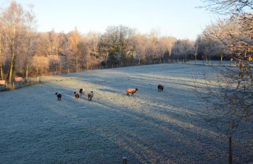 Haut-Bois Ski Chalet | Les cabanes des Pierreux