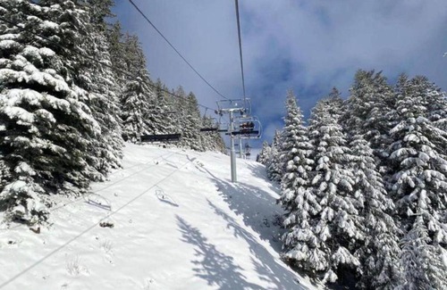 Torgon Apartment | Les Crêtes