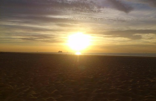 Bleriot-Plage Hotel | les dunes