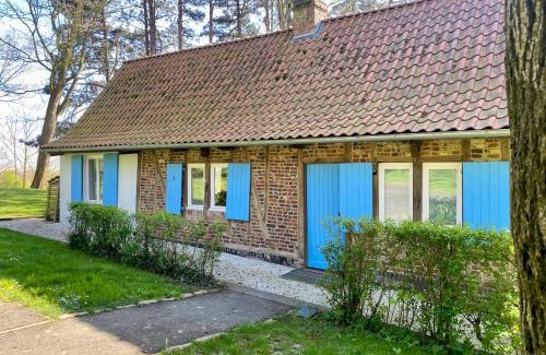 Cassel House | Les gîtes du Tilleul de Cassel