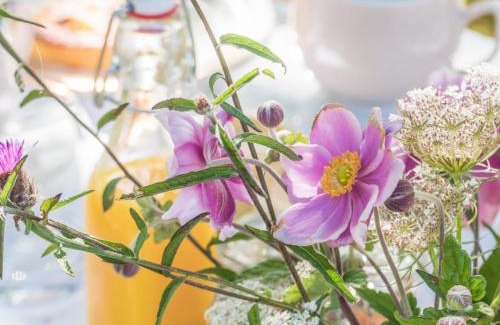 Plouha Bed & Breakfast | Les gites de Kerégal - la cabane de Charlotte