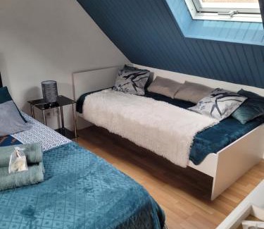 Beauvais House | Les Hirondelles à 5 mn de l' aeroport