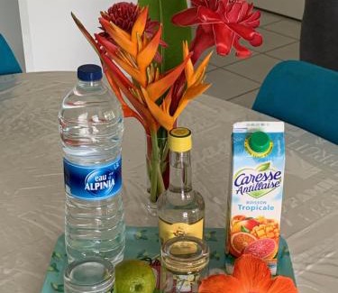 Deshaies Apartment | Les Lianes De Jade