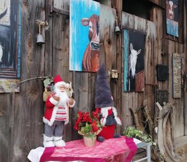 Sondernach Apartment | Les Locations de Stéphanie ,gîte L'Arbre Vert