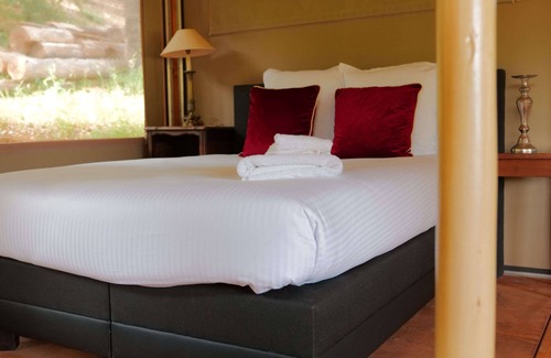 Le Thoronet Ski Chalet | LES LODGES DU DOMAINE DE LA CASCADE D'ARGENS
