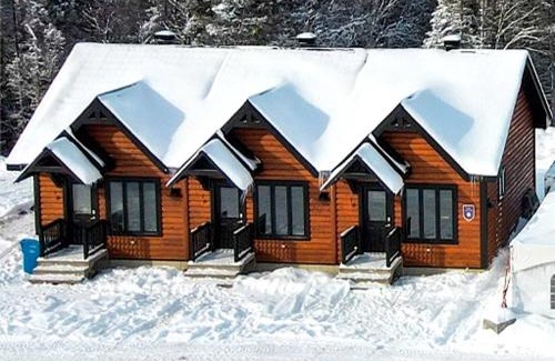 Saint-David-de-Falardeau Cabin | Les lofts nord-valins