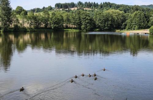 Merle-Leignec House | Les Myrtilles: Gîte avec jardin, animaux admis, parking - FR-1-496-45