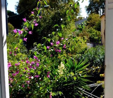 Avignon Bed & Breakfast | Les petits poissons