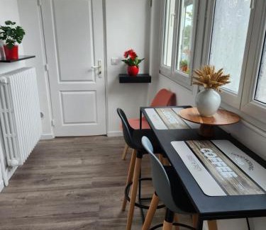 Le Perreux-sur-Marne Bed & Breakfast | Les Pingouins de la Marne 2