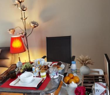 Le Perreux-sur-Marne Bed & Breakfast | LES PINGOUINS DE LA MARNE