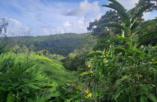 Sainte-Rose Apartment | Les roses de porcelaines