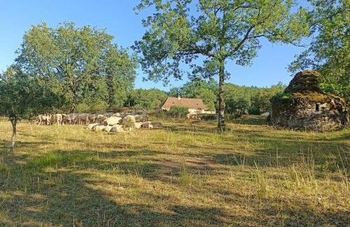 Daglan House | Les Tavernes*Authentique*Calme*Piscine
