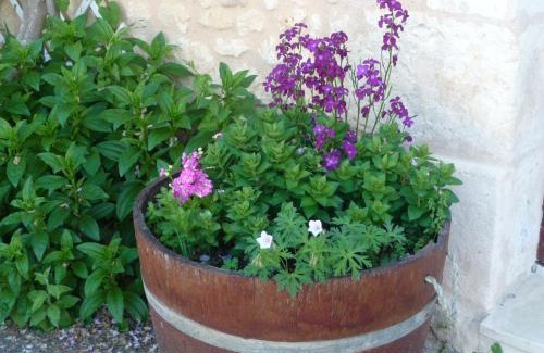 Ponteyraud Bed & Breakfast | Les Tuileries