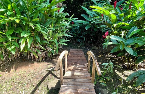 Cafeiere Cottage | Les Vanilles Gite in lush tropical setting, swimming pool 800m from the beach.