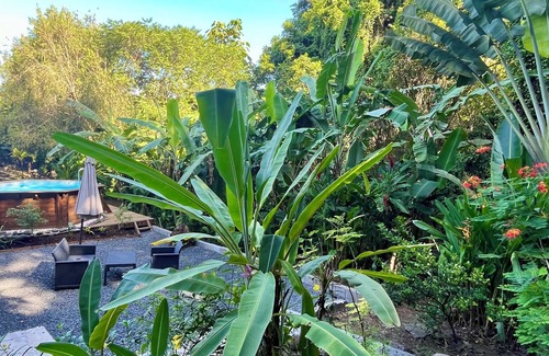 Cafeiere Cottage | Les Vanilles Gite in lush tropical setting, swimming pool 800m from the beach.