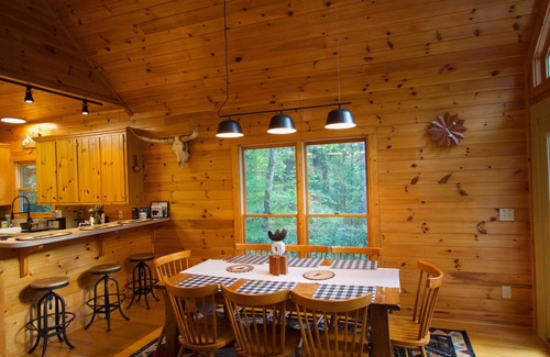 Ferguson Cabin | Let's Get Lost in Romantic 8-Guest Retreat w/Playful Days & Restful Nights!
