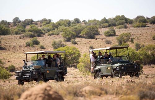 Smithfield Cabin | Letsatsi Game Lodge