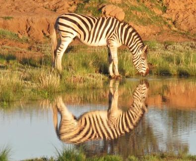 Smithfield Cabin | Letsatsi Game Lodge