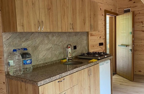 Ayder Villa | Levut Dağ Evi