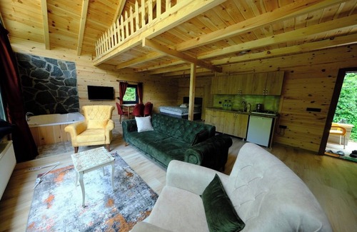 Ayder Villa | Levut Dağ Evi