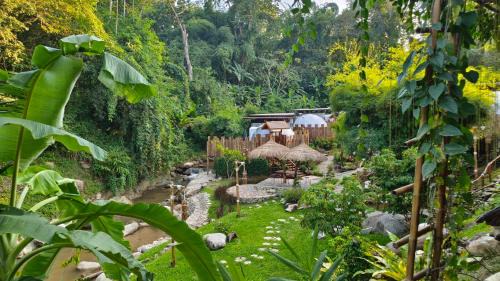 Chiang Dao Hotel | Lhong Chiang Dao Glamping หลงเชียงดาว