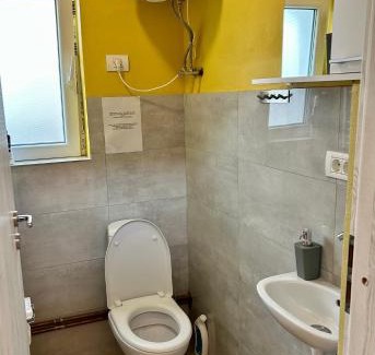 Mosnita Noua House | Liberty apartment