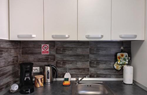 Sibiu Apartment | Lila