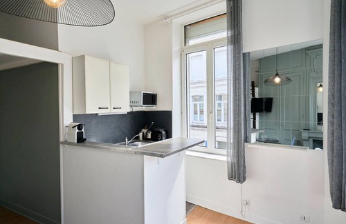 Saint-Maurice Pellevoisin Apartment | Lille Saint Maurice - Nice and functional studio