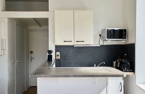 Saint-Maurice Pellevoisin Apartment | Lille Saint Maurice - Nice and functional studio