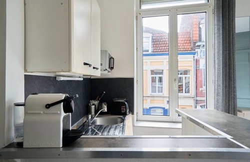 Saint-Maurice Pellevoisin Apartment | Lille Saint Maurice - Nice and functional studio