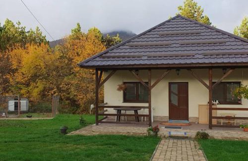 Baia Mare Apartment | Limpedea Green House