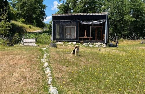 Panguipulli House | Linda Cabaña pet friendly a orilla rio y bosque, cerca Termas