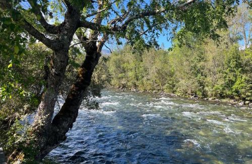 Panguipulli House | Linda Cabaña pet friendly a orilla rio y bosque, cerca Termas