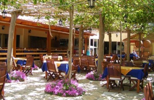 Pineios Hotel | Lintzi Hotel