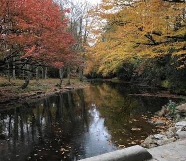 Newland House | Linville Land Harbor - River Run