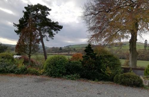 Tirabad Hotel | Lion Hotel