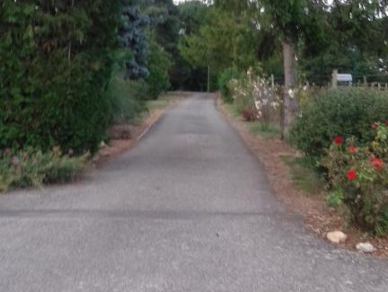 Saline House | Liseangīte