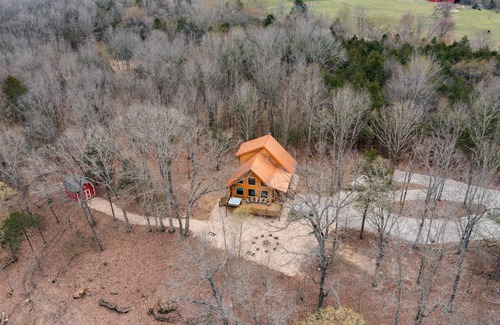 Eagle Rock Cabin | Little Cedar Lodge-Amazing Lake and Mountain Views -Hot Tub-Fire Pit