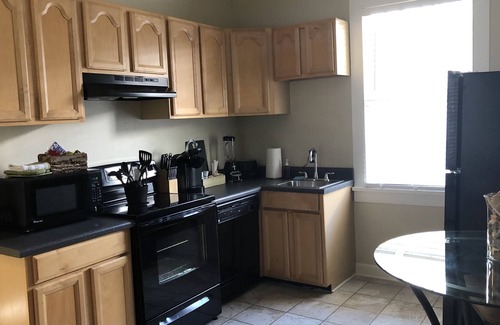 Old East Hill House | Little Green House- Downtown Cozy-Cottage Snowbirds Welcome!