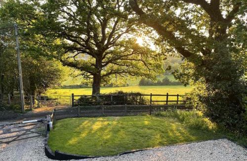 New Forest District House | Little Patch