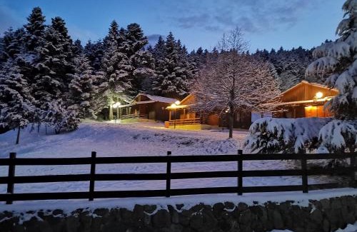 Makrakomi Apartment | Livadaki Village