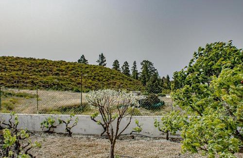 Taucho House | Live Adeje Taucho Relax Place with Terrace