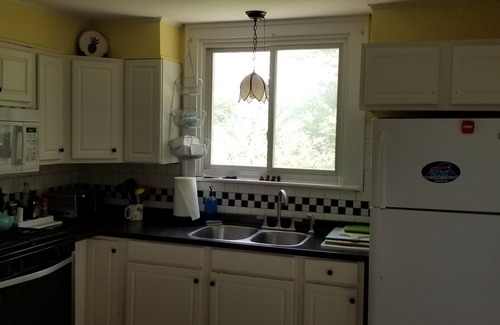 Athol Springs House | Live on the Lake! 3 Bdr, huge living room, fire pit, cabana, SUNSETS and FUN!