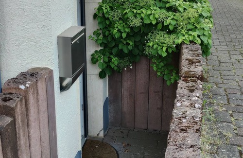 Rodenbach Condo | Living on the sunny hill above Neuwied