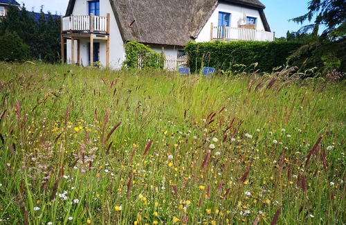 Lancken-Granitz Apartment | Living under "thatch" Family-friendly, dogs allowed, garden+large open space