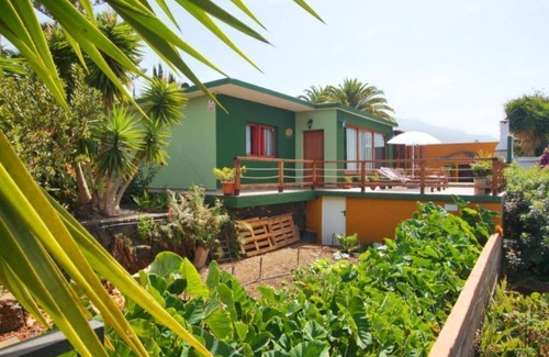 El Paso House | Lizard House