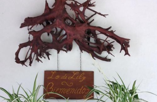 Embalse House | Lo de Lily