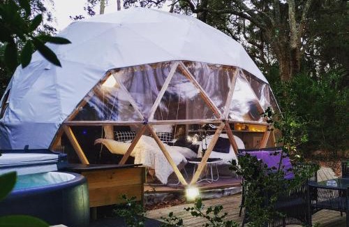 Soorts-Hossegor Other | Lo Rey du Lac